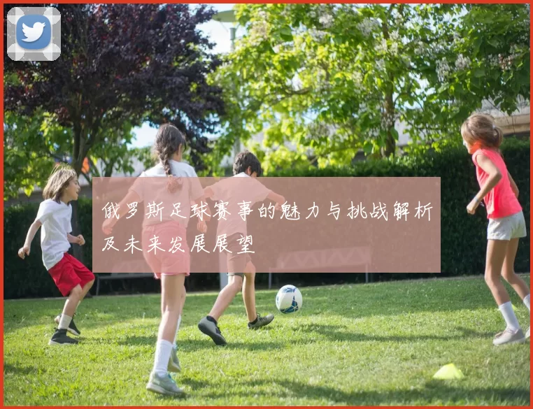 俄罗斯足球赛事的魅力与挑战解析及未来发展展望