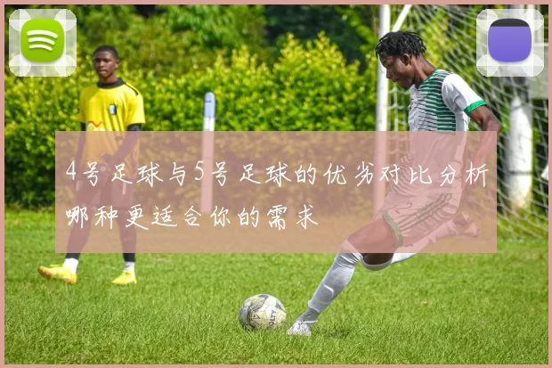 4号足球与5号足球的优劣对比分析哪种更适合你的需求